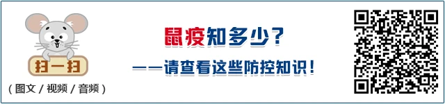 青少年大前锋如何进行高效训练?_2